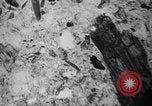 Image of Japanese survey team Hiroshima Japan, 1945, second 55 stock footage video 65675052704