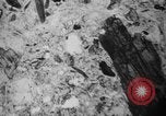 Image of Japanese survey team Hiroshima Japan, 1945, second 57 stock footage video 65675052704