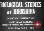 Image of plants and vegetation Hiroshima Japan, 1945, second 5 stock footage video 65675052705