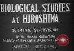 Image of plants and vegetation Hiroshima Japan, 1945, second 10 stock footage video 65675052705