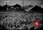 Image of plants and vegetation Hiroshima Japan, 1945, second 34 stock footage video 65675052705