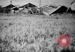 Image of plants and vegetation Hiroshima Japan, 1945, second 39 stock footage video 65675052705