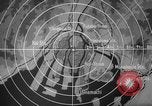 Image of plants and vegetation Hiroshima Japan, 1945, second 59 stock footage video 65675052705