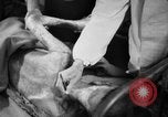 Image of Japanese patients Hiroshima Japan, 1945, second 26 stock footage video 65675052706