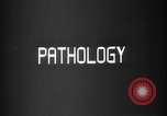 Image of microscopic view of skin Hiroshima Japan, 1945, second 53 stock footage video 65675052709