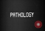 Image of microscopic view of skin Hiroshima Japan, 1945, second 54 stock footage video 65675052709