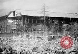 Image of Japanese patients Hiroshima Japan, 1945, second 23 stock footage video 65675052711