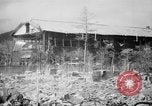 Image of Japanese patients Hiroshima Japan, 1945, second 29 stock footage video 65675052711