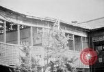 Image of Japanese patients Hiroshima Japan, 1945, second 31 stock footage video 65675052711