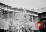 Image of Japanese patients Hiroshima Japan, 1945, second 32 stock footage video 65675052711
