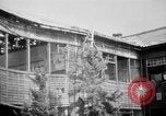 Image of Japanese patients Hiroshima Japan, 1945, second 33 stock footage video 65675052711