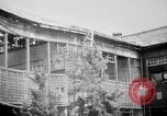 Image of Japanese patients Hiroshima Japan, 1945, second 34 stock footage video 65675052711