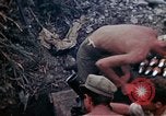 Image Premier Marine Regiment Shuri Okinawa îles Ryukyu, 1945, de la seconde 51 séquences d'archives historiques vidéo 65675052721