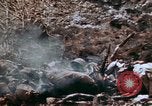 Image 1er Régiment de Marines Shuri Okinawa îles Ryukyu, 1945, de la seconde 29 séquences d'archives historiques vidéo 65675052722