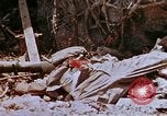 Image 1er Régiment de Marines Shuri Okinawa îles Ryukyu, 1945, de la seconde 40 séquences d'archives historiques vidéo 65675052722