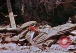 Image 1er Régiment de Marines Shuri Okinawa îles Ryukyu, 1945, de la seconde 42 séquences d'archives historiques vidéo 65675052722