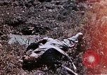 Image of First Marine Regiment Shuri Okinawa Ryukyu Islands, 1945, second 3 stock footage video 65675052724