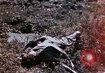 Image of First Marine Regiment Shuri Okinawa Ryukyu Islands, 1945, second 4 stock footage video 65675052724