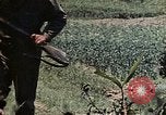Standbild 1st Battalion 1 Marines Naha Okinawa Ryukyu Inseln, 1945, aus Sekunde 20 historischem Filmmaterial Videoclip 65675052726