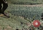 Standbild 1st Battalion 1 Marines Naha Okinawa Ryukyu Inseln, 1945, aus Sekunde 21 historischem Filmmaterial Videoclip 65675052726