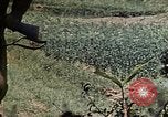 Standbild 1st Battalion 1 Marines Naha Okinawa Ryukyu Inseln, 1945, aus Sekunde 22 historischem Filmmaterial Videoclip 65675052726
