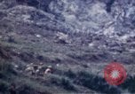 Image 1er Bataillon 1ère marines Naha Okinawa îles Ryukyu, 1945, de la seconde 8 séquences d'archives historiques vidéo 65675052727