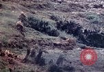 Image 1er Bataillon 1ère marines Naha Okinawa îles Ryukyu, 1945, de la seconde 57 séquences d'archives historiques vidéo 65675052727