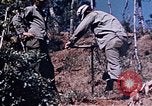 Image 1er Régiment de Marines Deragawa Okinawa îles Ryukyu, 1945, de la seconde 25 séquences d'archives historiques vidéo 65675052730