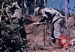 Image 1er Régiment de Marines Deragawa Okinawa îles Ryukyu, 1945, de la seconde 31 séquences d'archives historiques vidéo 65675052730