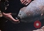 Standbild 1 Marine Regiment Deragawa Okinawa Ryukyu Inseln, 1945, aus Sekunde 38 historischem Filmmaterial Videoclip 65675052731