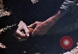 Standbild 1 Marine Regiment Deragawa Okinawa Ryukyu Inseln, 1945, aus Sekunde 56 historischem Filmmaterial Videoclip 65675052731