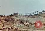 Image 3e bataillon du 7e Régiment de Marines Okinawa îles Ryukyu, 1945, de la seconde 22 séquences d'archives historiques vidéo 65675052735