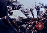 Image 3e bataillon du 7e Régiment de Marines Okinawa îles Ryukyu, 1945, de la seconde 35 séquences d'archives historiques vidéo 65675052736