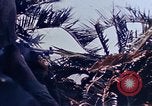 Image 3e bataillon du 7e Régiment de Marines Okinawa îles Ryukyu, 1945, de la seconde 36 séquences d'archives historiques vidéo 65675052736