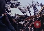Image 3e bataillon du 7e Régiment de Marines Okinawa îles Ryukyu, 1945, de la seconde 37 séquences d'archives historiques vidéo 65675052736