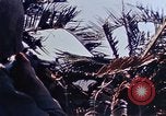 Image 3e bataillon du 7e Régiment de Marines Okinawa îles Ryukyu, 1945, de la seconde 38 séquences d'archives historiques vidéo 65675052736