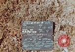 Image 3e bataillon du 7e Régiment de Marines Okinawa îles Ryukyu, 1945, de la seconde 36 séquences d'archives historiques vidéo 65675052737
