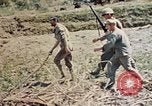 Image 1er bataillon du 5e Régiment de Marines Shima Okinawa îles Ryukyu, 1945, de la seconde 12 séquences d'archives historiques vidéo 65675052748