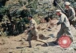 Image 1er bataillon du 5e Régiment de Marines Shima Okinawa îles Ryukyu, 1945, de la seconde 19 séquences d'archives historiques vidéo 65675052748