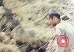 Image 1er bataillon du 5e Régiment de Marines Shima Okinawa îles Ryukyu, 1945, de la seconde 36 séquences d'archives historiques vidéo 65675052748