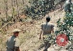 Image 1er bataillon du 5e Régiment de Marines Shima Okinawa îles Ryukyu, 1945, de la seconde 41 séquences d'archives historiques vidéo 65675052748