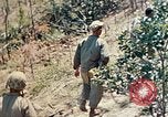Image 1er bataillon du 5e Régiment de Marines Shima Okinawa îles Ryukyu, 1945, de la seconde 43 séquences d'archives historiques vidéo 65675052748