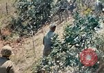 Image 1er bataillon du 5e Régiment de Marines Shima Okinawa îles Ryukyu, 1945, de la seconde 44 séquences d'archives historiques vidéo 65675052748