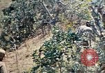Image 1er bataillon du 5e Régiment de Marines Shima Okinawa îles Ryukyu, 1945, de la seconde 45 séquences d'archives historiques vidéo 65675052748