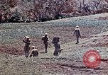 Standbild 3st Battalion 5th Marine Regiment Shima Okinawa Ryukyu Inseln, 1945, aus Sekunde 6 historischem Filmmaterial Videoclip 65675052750