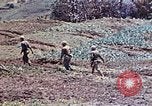 Standbild 3st Battalion 5th Marine Regiment Shima Okinawa Ryukyu Inseln, 1945, aus Sekunde 29 historischem Filmmaterial Videoclip 65675052750