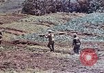 Standbild 3st Battalion 5th Marine Regiment Shima Okinawa Ryukyu Inseln, 1945, aus Sekunde 35 historischem Filmmaterial Videoclip 65675052750