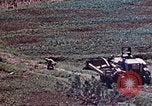 Standbild 3st Battalion 5th Marine Regiment Shima Okinawa Ryukyu Inseln, 1945, aus Sekunde 60 historischem Filmmaterial Videoclip 65675052750