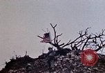 Image of 1st Marine Division Shuri Okinawa Ryukyu Islands, 1945, second 38 stock footage video 65675052753