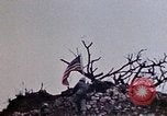 Image of 1st Marine Division Shuri Okinawa Ryukyu Islands, 1945, second 48 stock footage video 65675052753